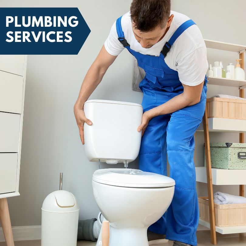 Plumbing Company in Alvada, OH